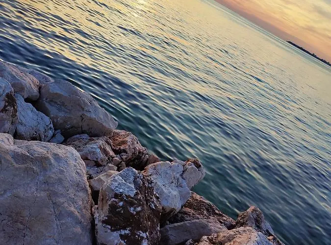 Ela Lägenhet Bibinje